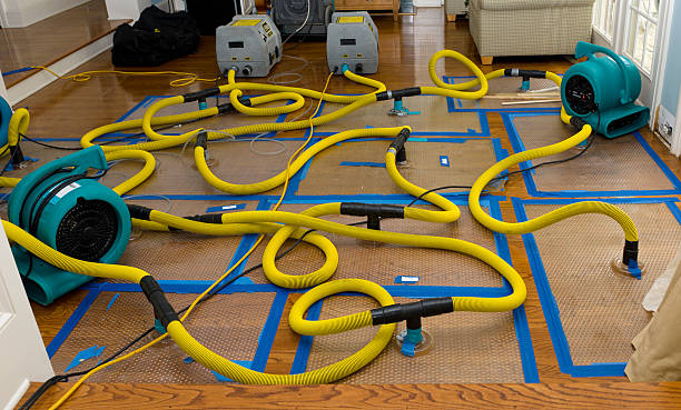 Professional Basement Flood Cleanup technician working in Tuppers Plains, OH